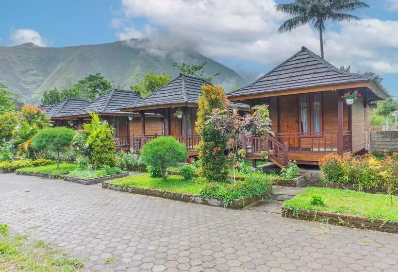 ペンション Puncak Rinjani Lodge
