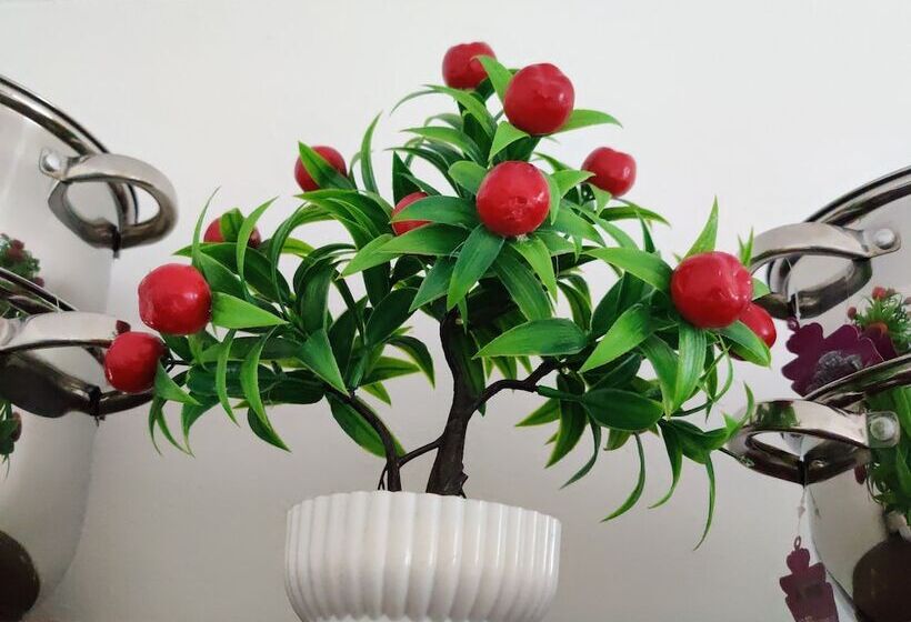 بنسيون Beach Road Oasis