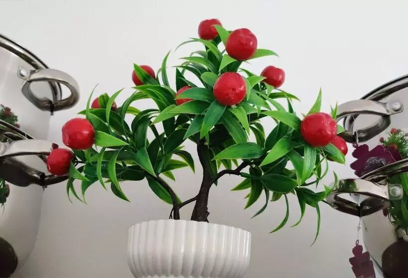 Majatalo Beach Road Oasis