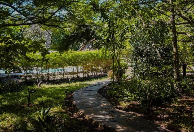 تختخواب و صبحانه Spice Of The Coast