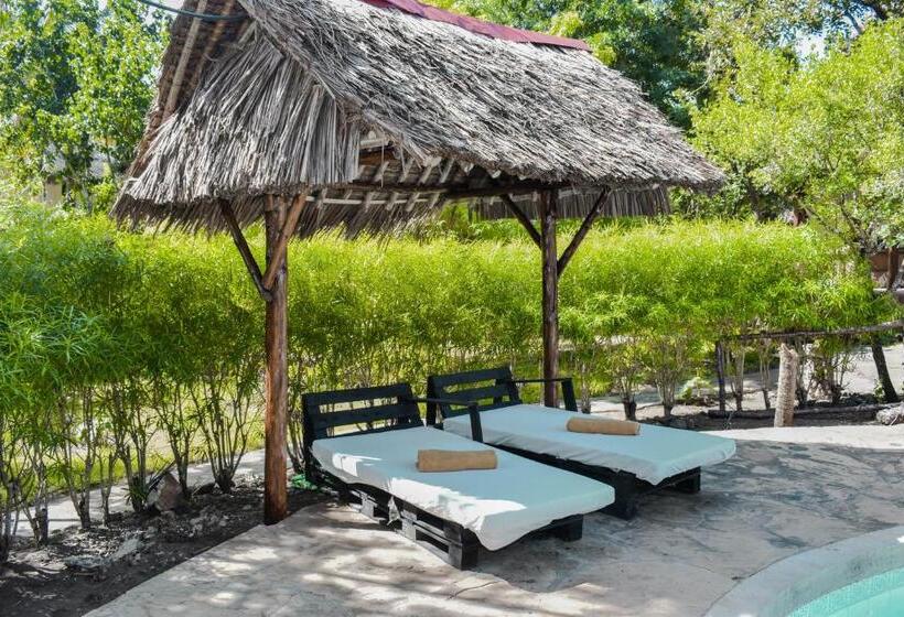 تختخواب و صبحانه Spice Of The Coast