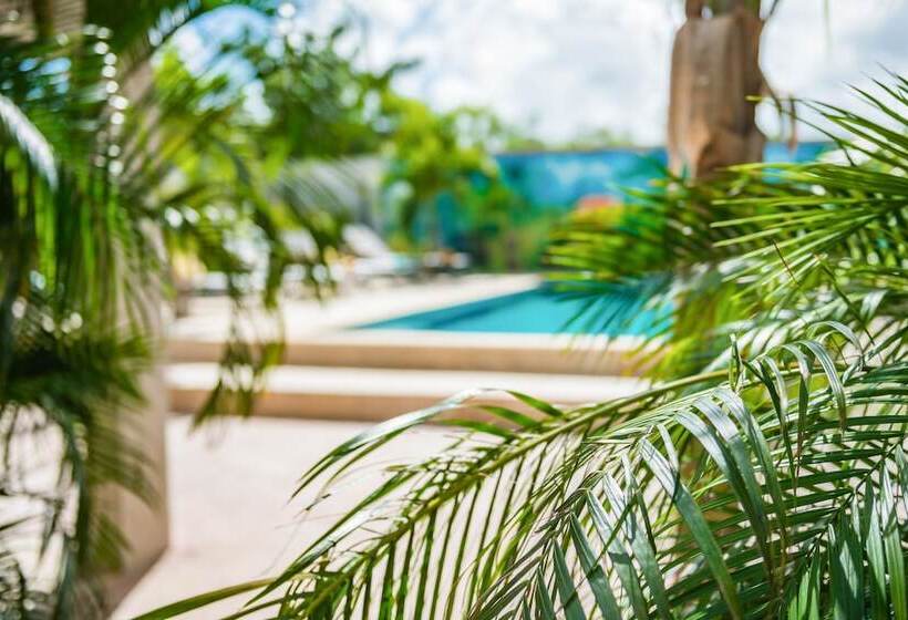 هتل Casita Palma By Boutique Bonaire Unique Resorts