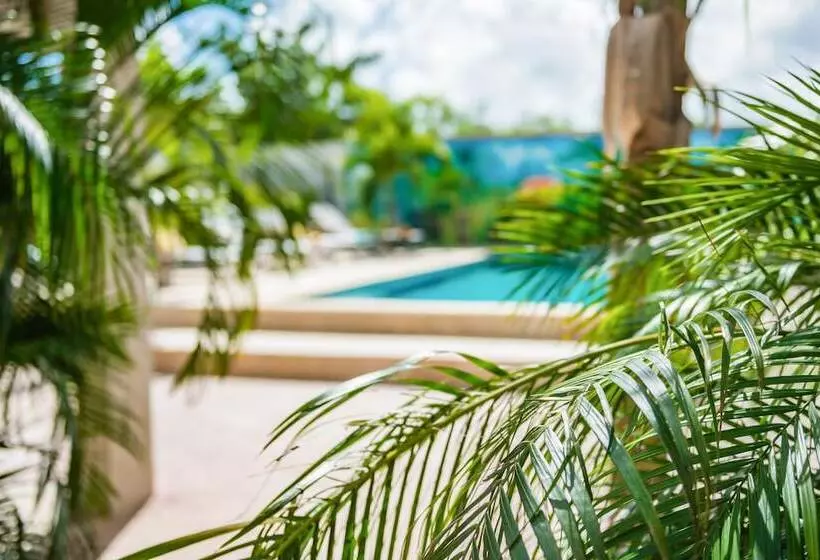 هتل Casita Palma By Boutique Bonaire Unique Resorts