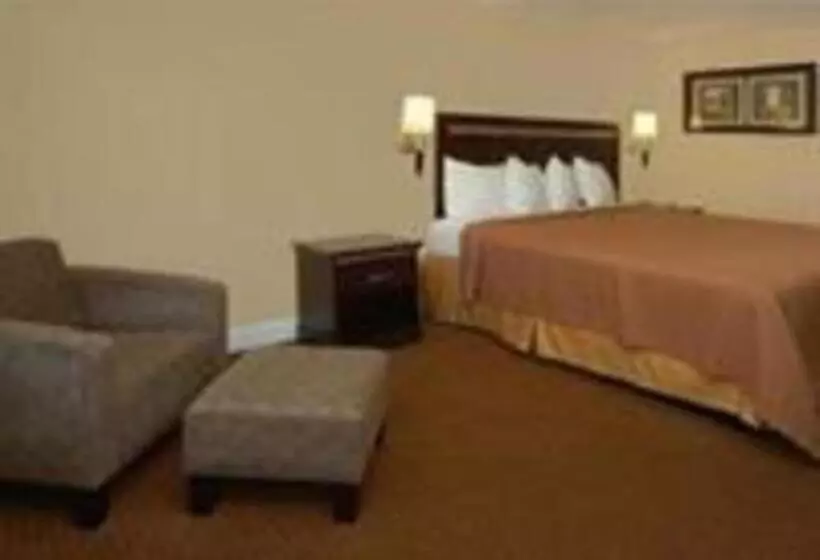 ホテル Rodeway Inn Carlsbad