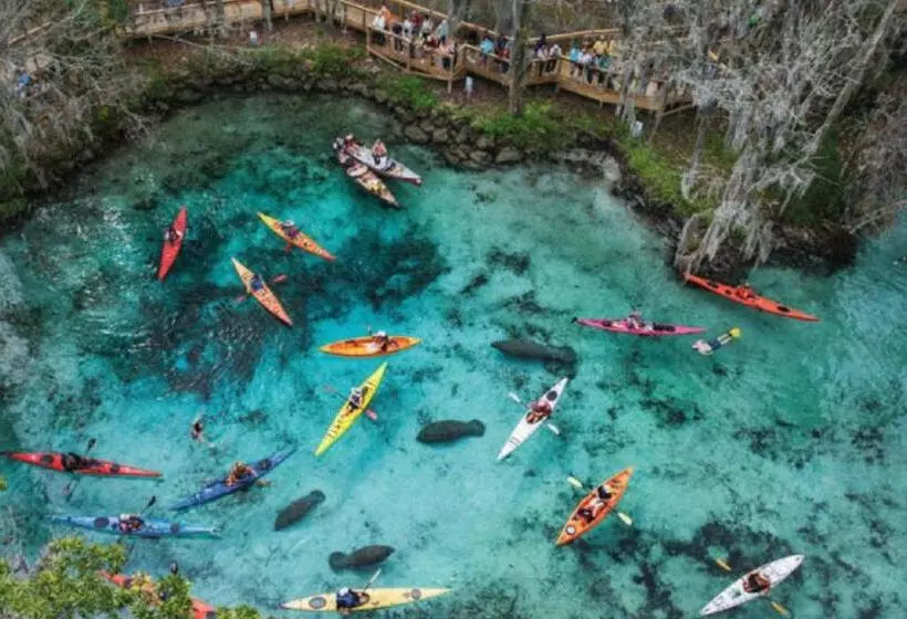 Retkeilymaja Bposhtels Orlando Disney