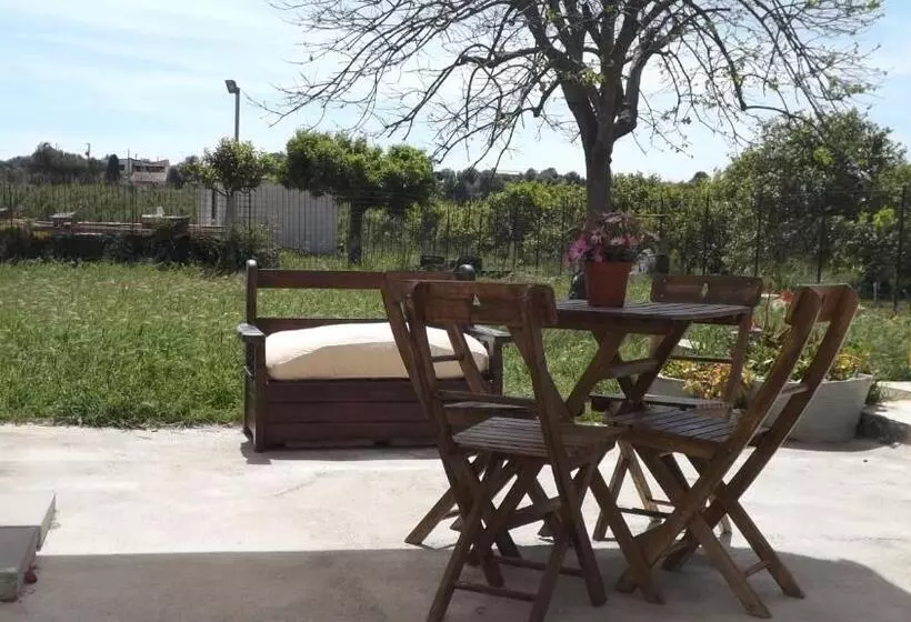 تختخواب و صبحانه Beb Nonno Baffo