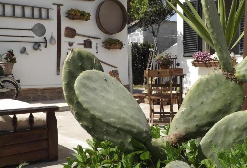 Nocleg ze śniadaniem Beb Nonno Baffo