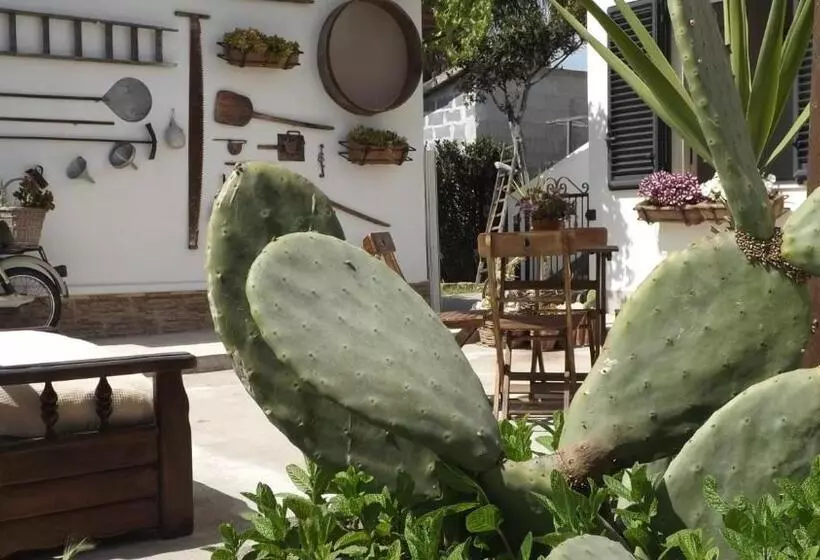 تختخواب و صبحانه Beb Nonno Baffo