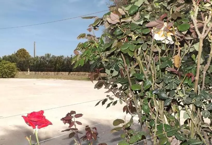 تختخواب و صبحانه Beb Nonno Baffo