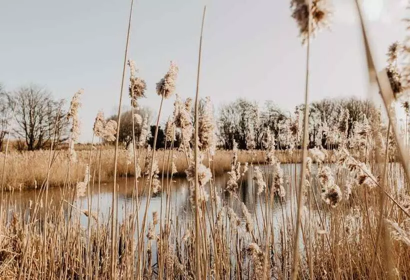 Aamiaismajoitus (B&B) Stil 1827