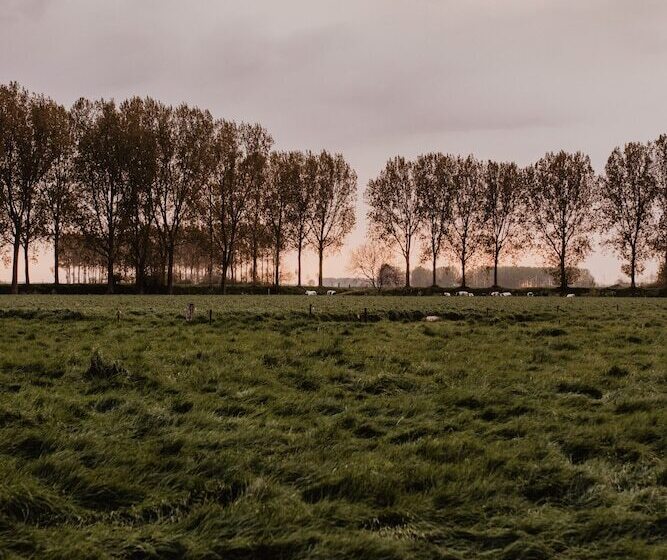 ベッドアンドブレックファースト Stil 1827