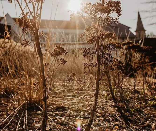 Aamiaismajoitus (B&B) Stil 1827