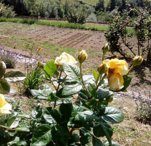 בית מלון כפרי Agriturismo Bellavista