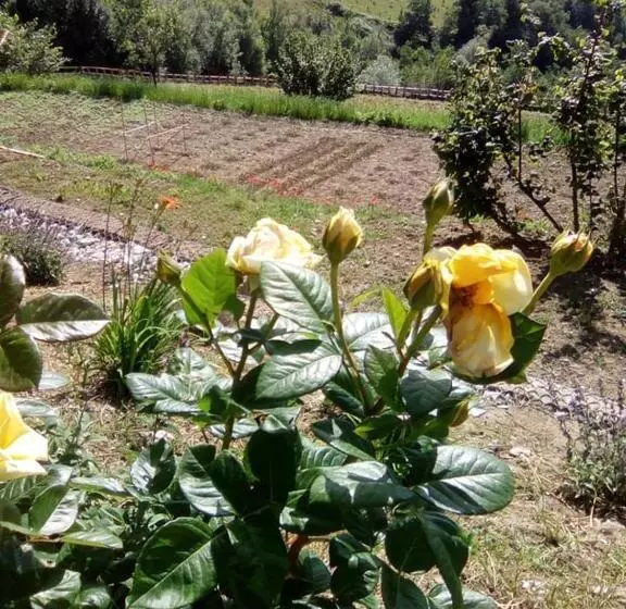 ホテル Agriturismo Bellavista