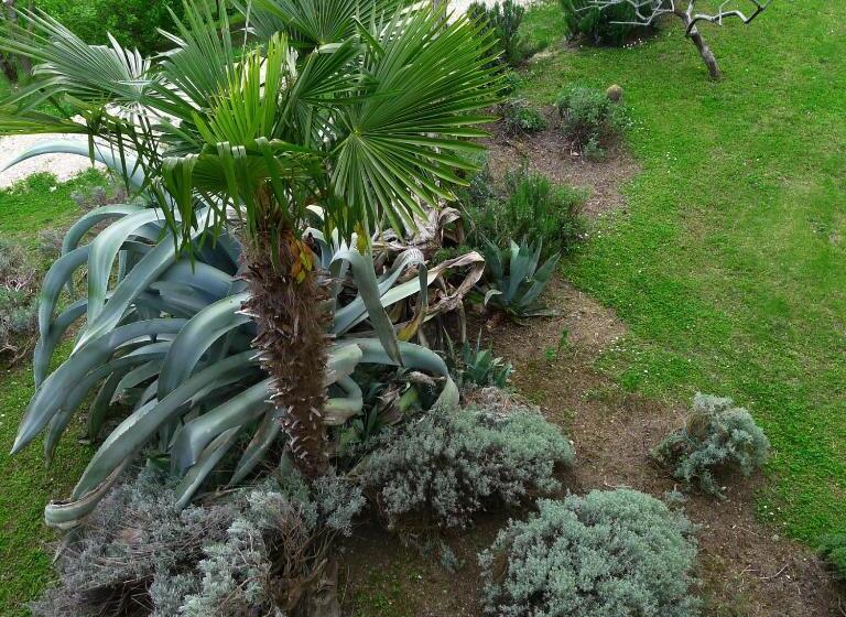 בית מלון כפרי Agriturismo Bellavista