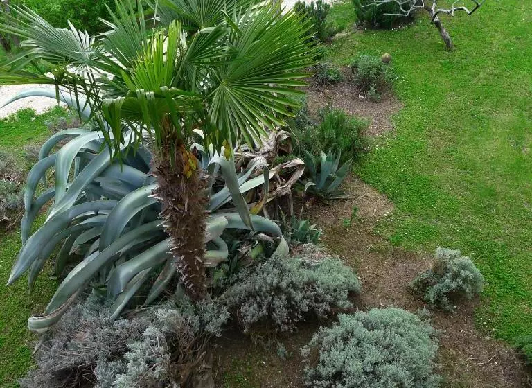 ホテル Agriturismo Bellavista