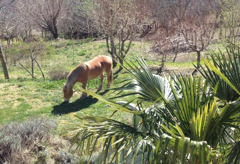 בית מלון כפרי Agriturismo Bellavista
