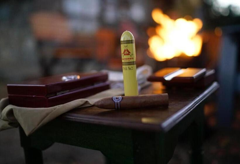 אתר נופש Manila Hideaway