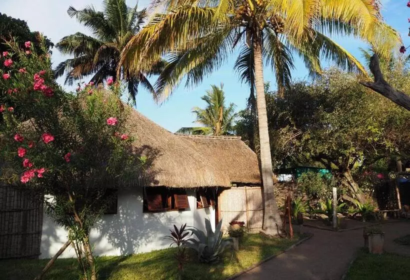 ホテル Casa Jules