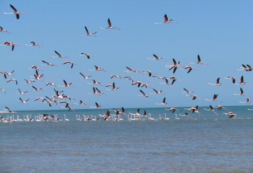 בית מלון כפרי Casa Jules