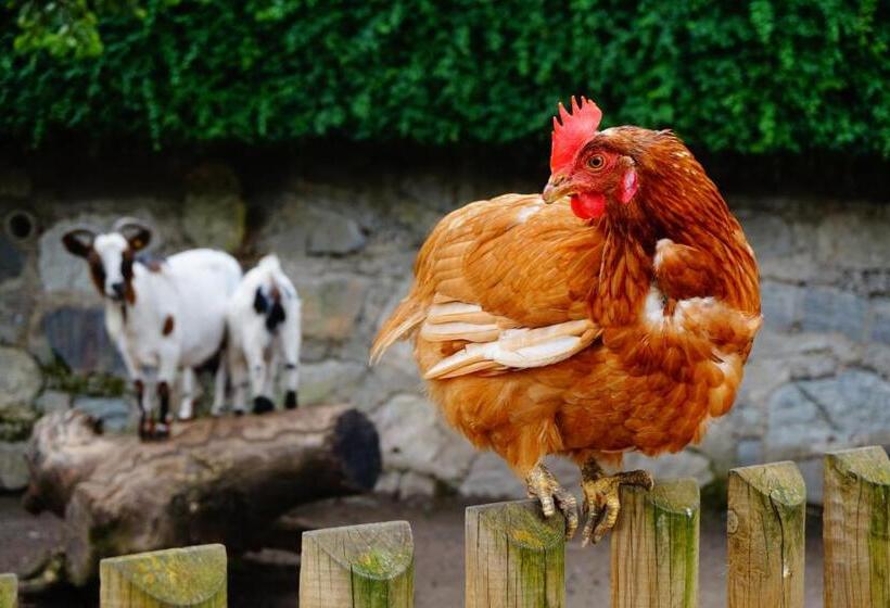 Отель Das Grafenstein Familienresidence