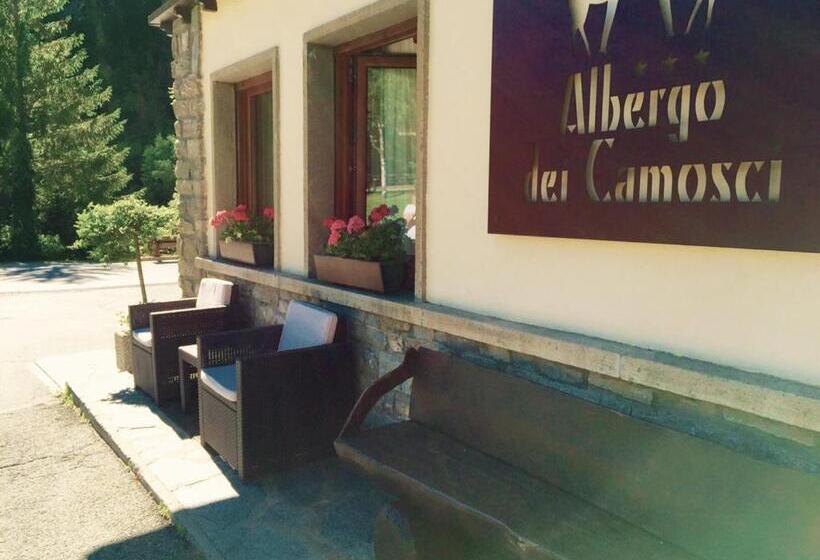 فندق Dei Camosci