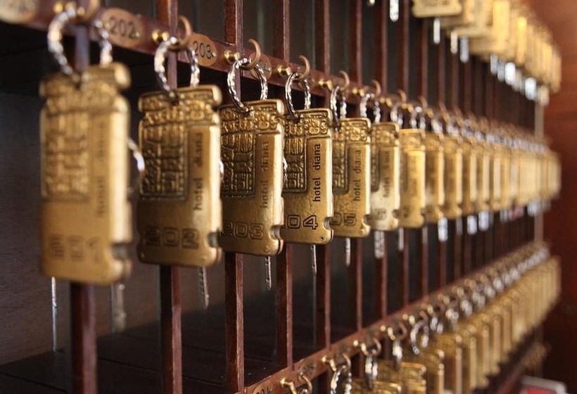 בית מלון כפרי Diana