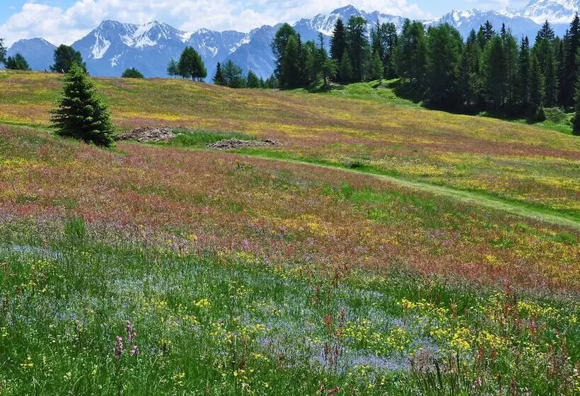 Hotelli Jägerhof