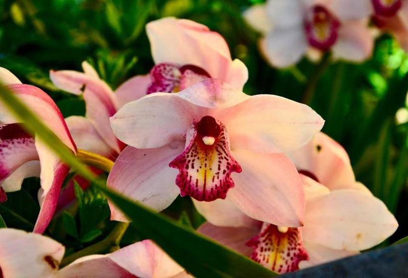 فندق Locanda Villa Moderna