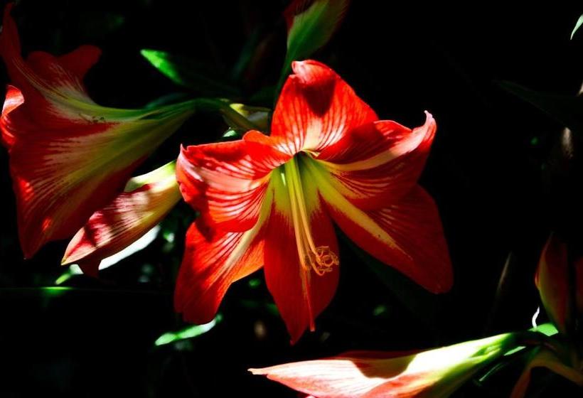 فندق Locanda Villa Moderna