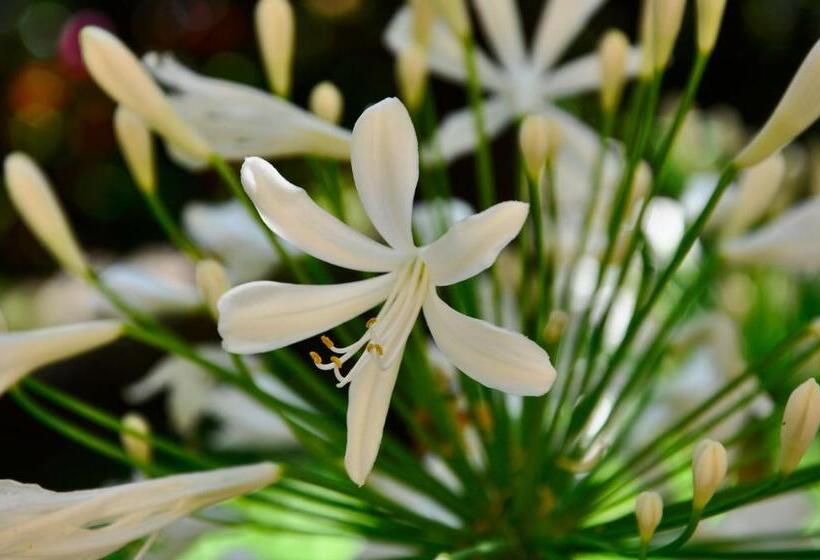 فندق Locanda Villa Moderna