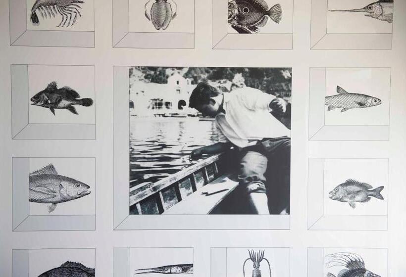 בית מלון כפרי Taverna Del Capitano