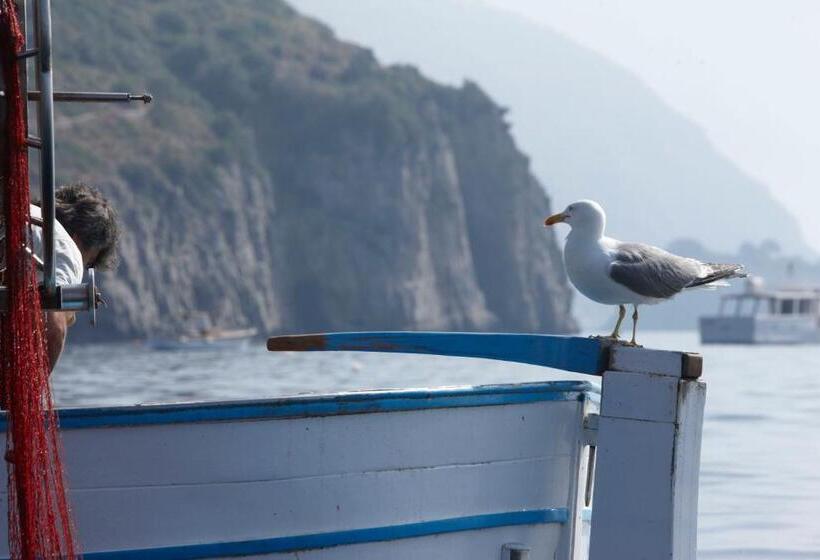 בית מלון כפרי Taverna Del Capitano