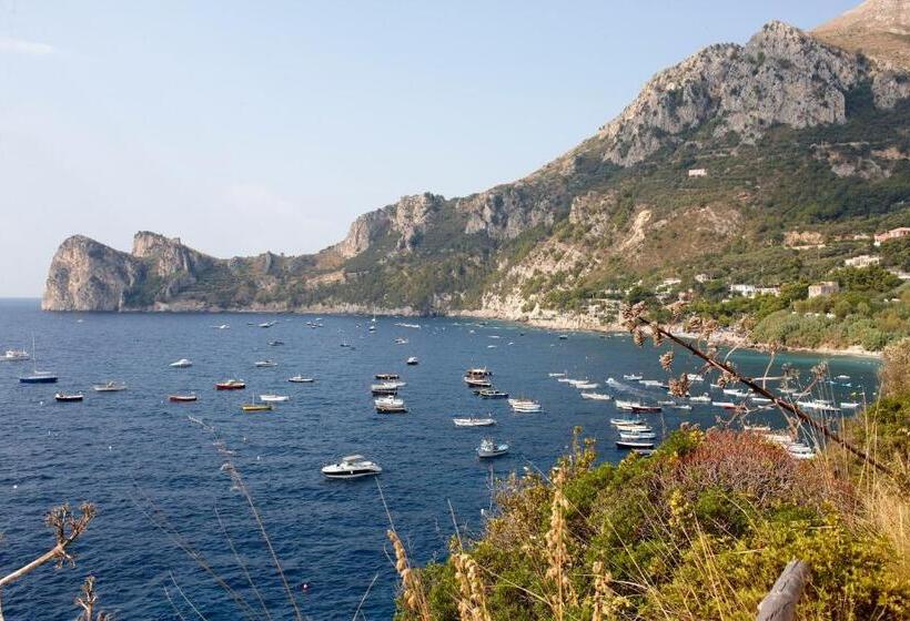 בית מלון כפרי Taverna Del Capitano