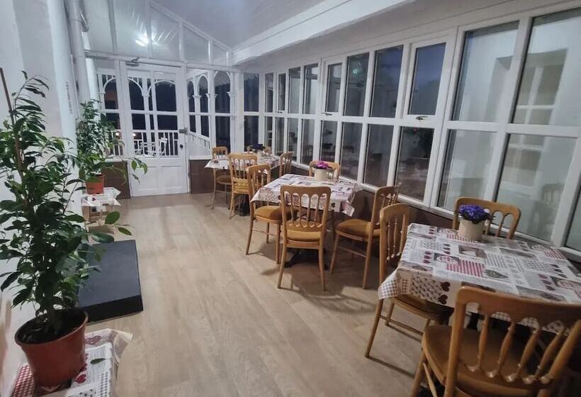 Пансион The Monkey Puzzle