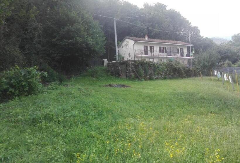 Пансион Casa Belvedere