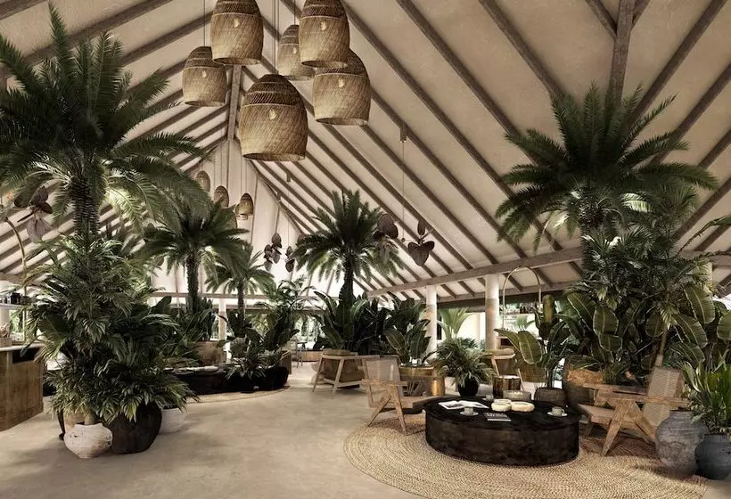 Villa Haven Resort Maldives   50 Percentage Off Seaplane For 4 Nights And Above