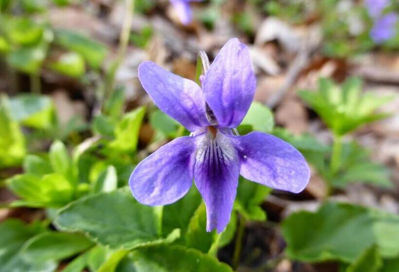 ホテル Bauernhof Unteres Feld