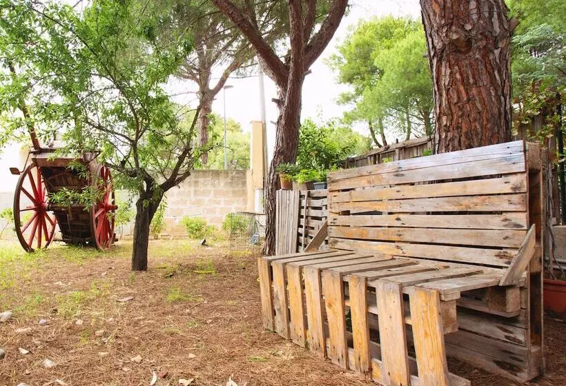 Majatalo B&b Montedarena