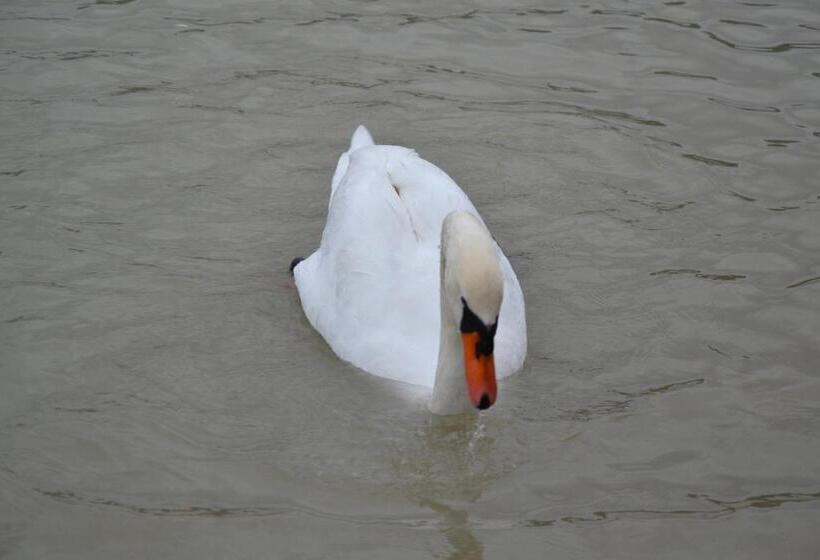 تختخواب و صبحانه Gostisce Jezero