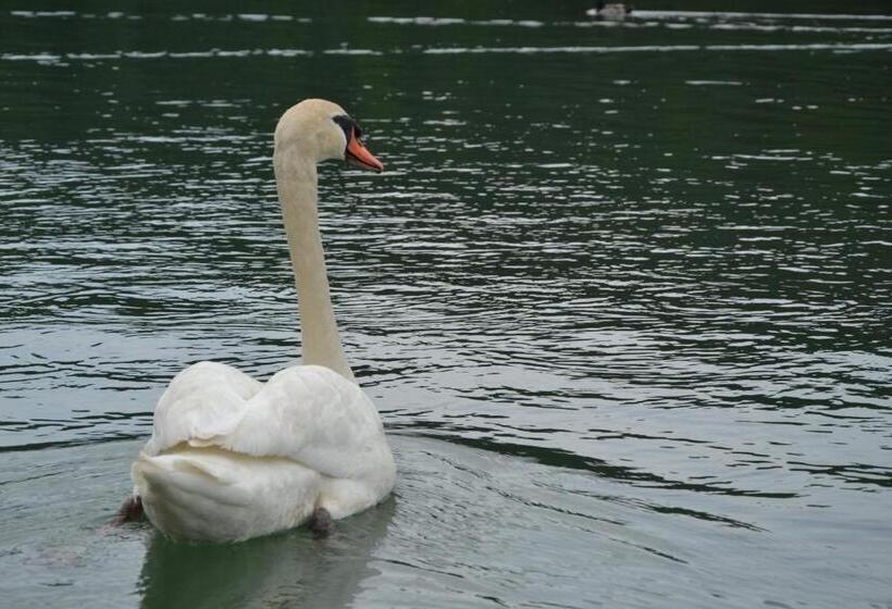 تختخواب و صبحانه Gostisce Jezero