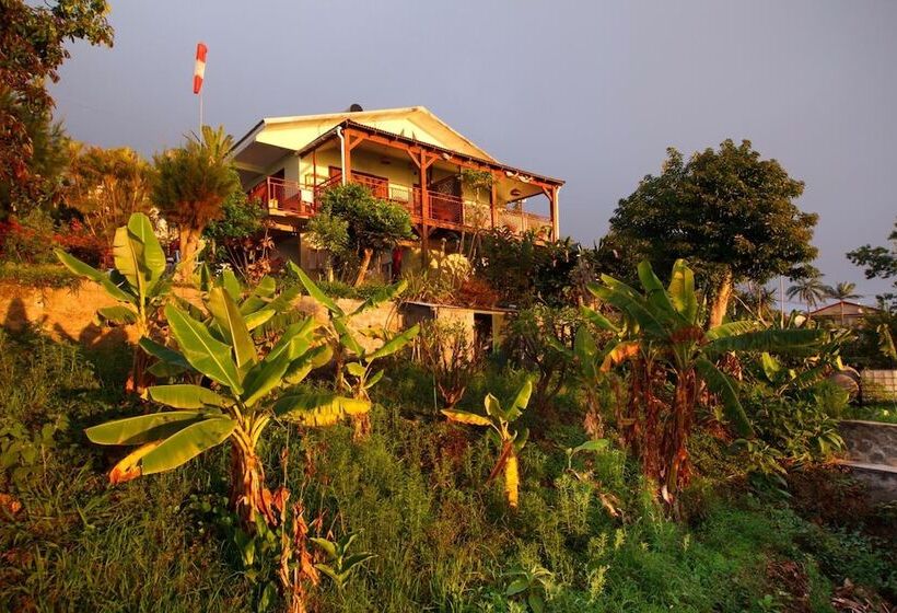 تختخواب و صبحانه La Caz Oceane