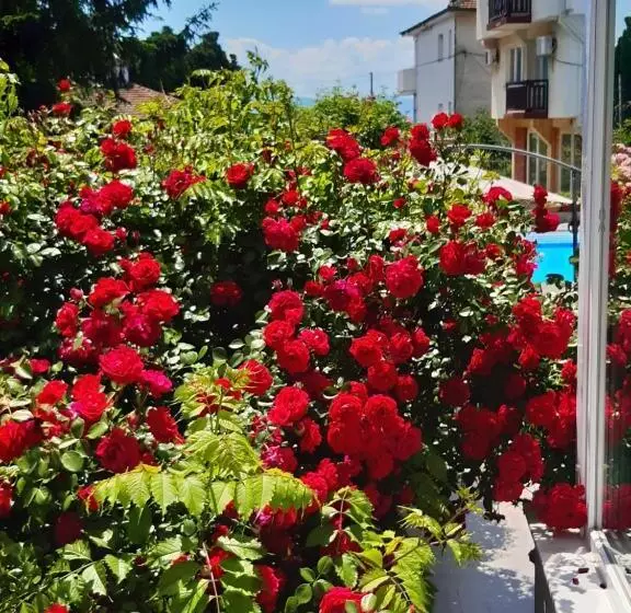هتل Villa Jordan