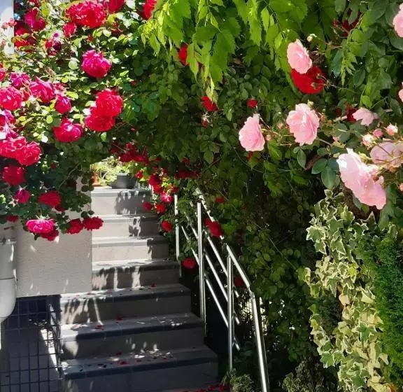هتل Villa Jordan