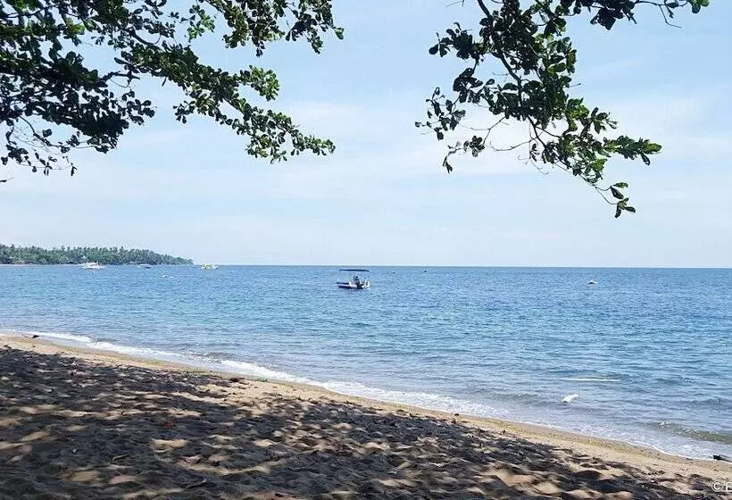 Mike's Dauin Dive Resort