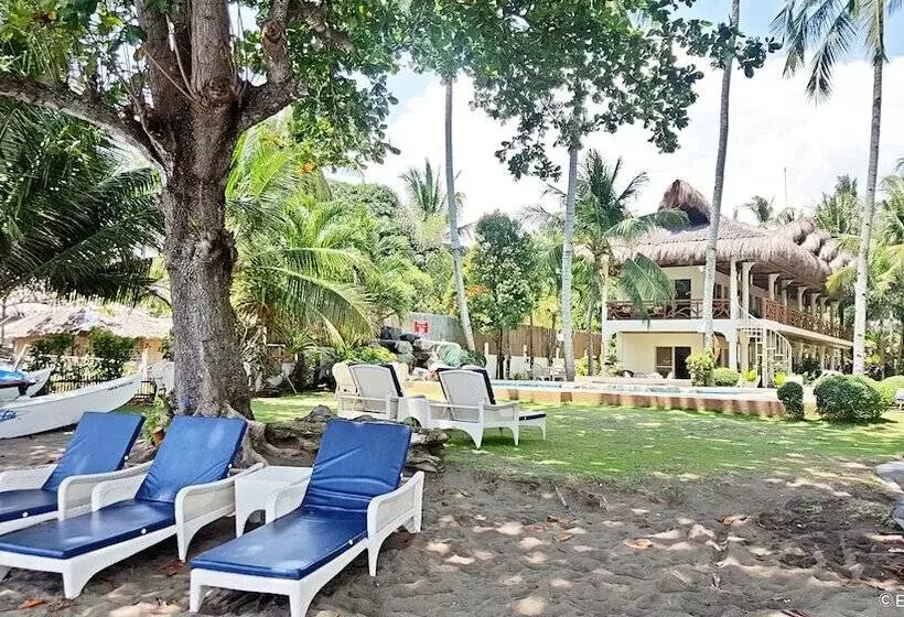 Mike's Dauin Dive Resort