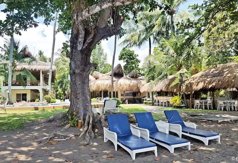 Mike's Dauin Dive Resort