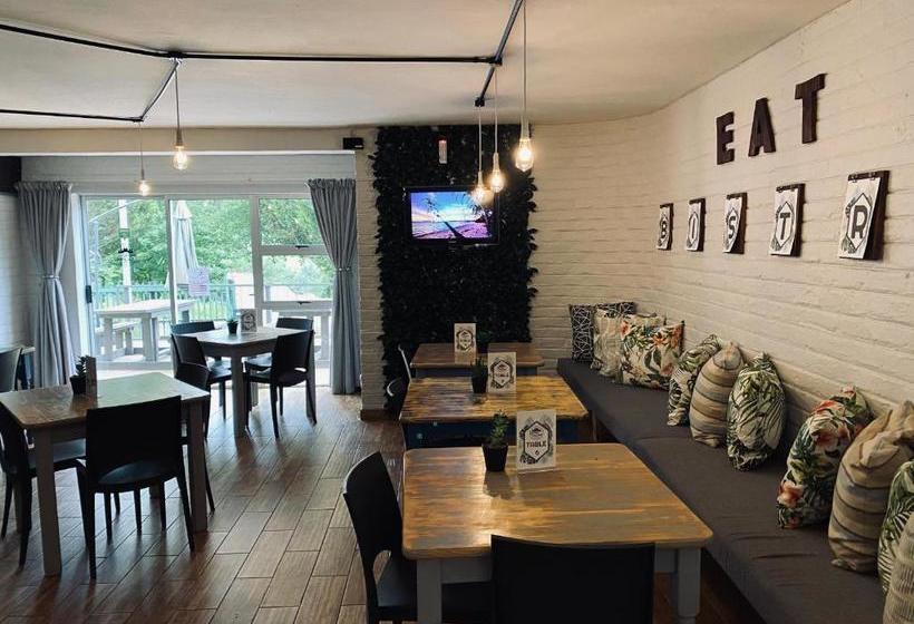 Alpine Bed And Breakfast