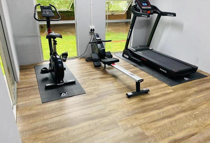 Alpine Bed And Breakfast