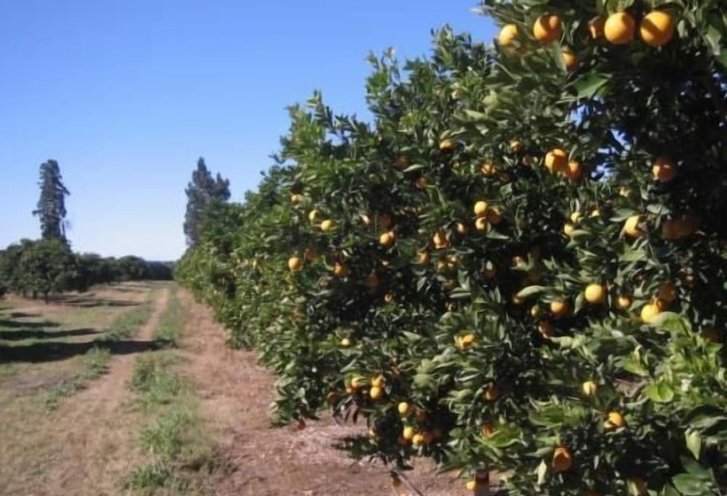צימר Happy Lands Farmstay